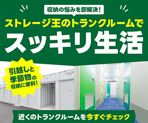 ストレージ王